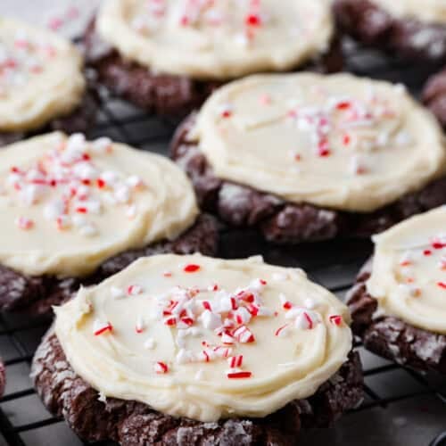 chocolate peppermint cookies swig copycat