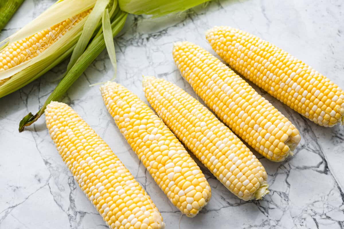 Ears of corn all lined up with their husks removed. 