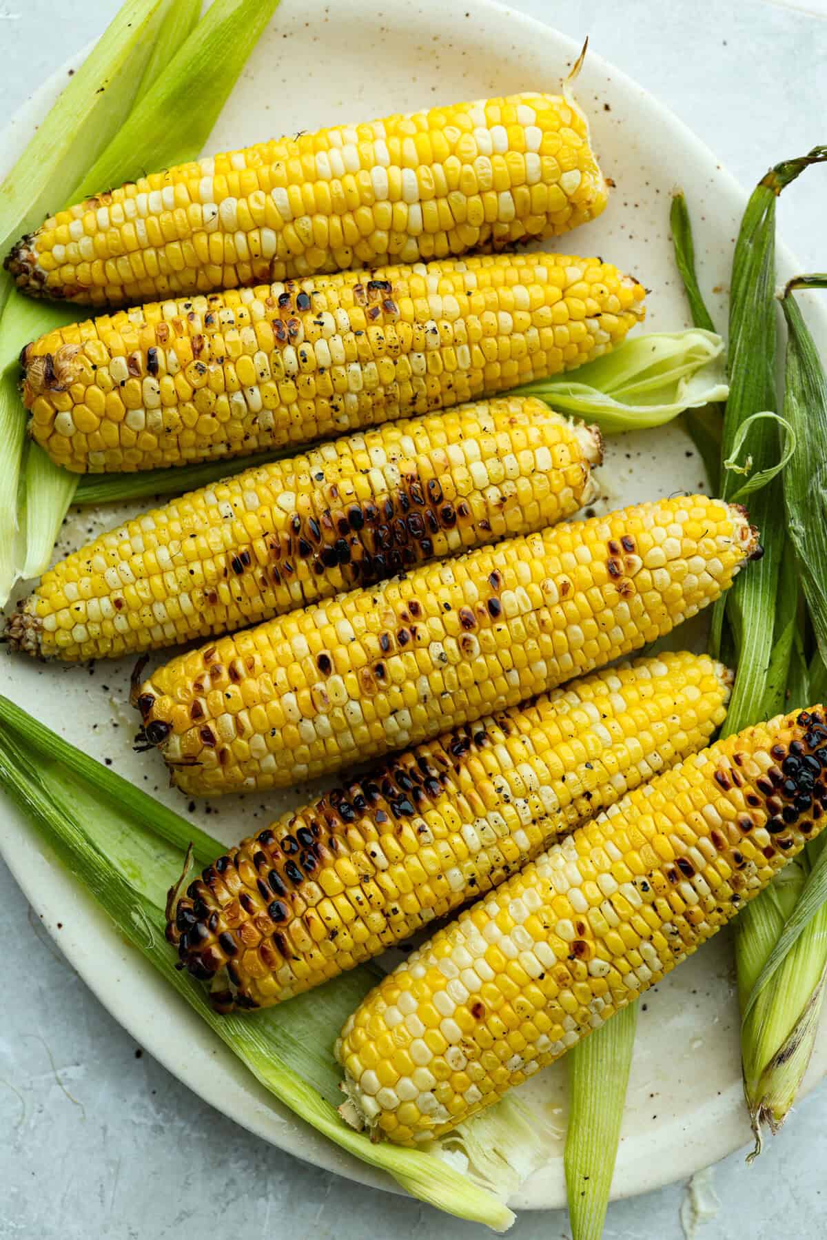 Plate of grilled corn cobs. 