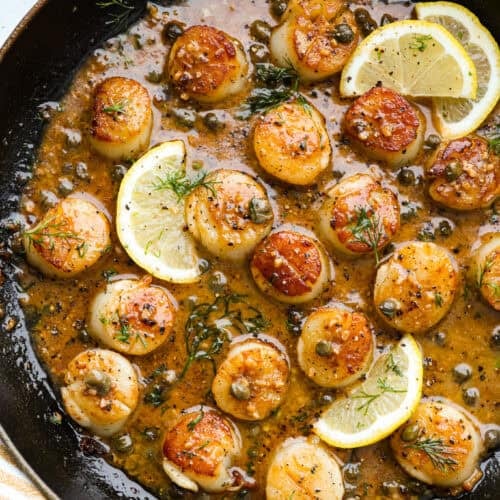 lemon pan seared scallops